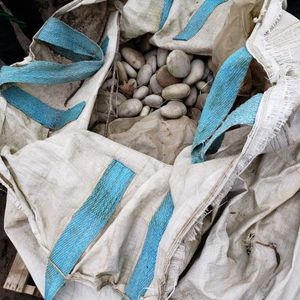 lot 39 image: Mexican Beach Pebbles