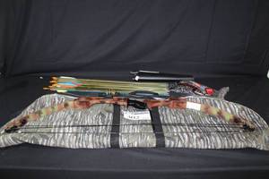 lot 302 image: Hoyt Easton Archery Bow, Arrows, Quiver, Carry Case