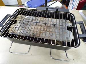 lot 65 image: Propane Camping Grill