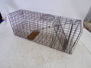 lot 72 image: Live Trap