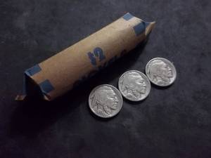 Full Roll Of Buffalo Nickels 1913-1938