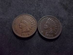 1895, 1896 Indian Head Cents