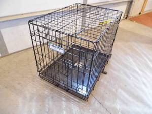 Kennel
