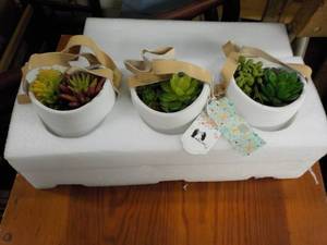 Wall Hanging set of 3...
