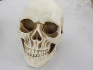 Skull Dcor...