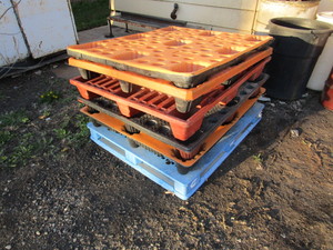 lot 246 image: (6) Plastic Pallets