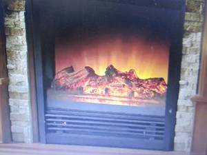lot 132 image: Electric Fireplace insert only Reta...