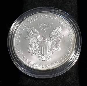2002 AMERICAN SILVER EAGLE 1 TROY OZ. .999 FINE SILVER IN AIRTITE