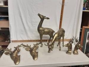 Deer