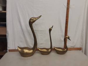 Swans