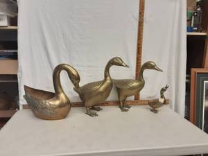Ducks