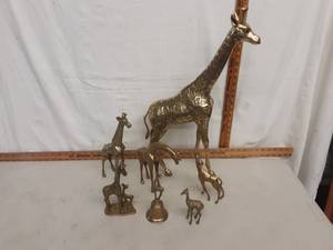 Giraffes