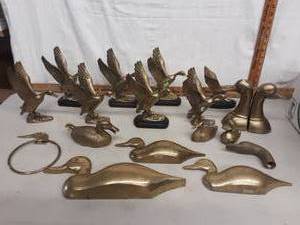 Mallards & Other Ducks
