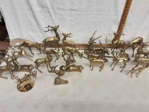 Collection Of Deer