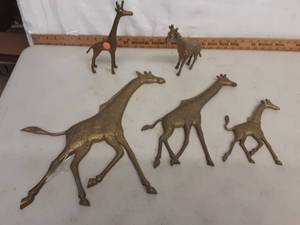 Giraffes