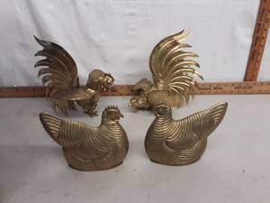 Chickens & Rooster