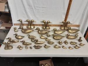 Large Assortment Of Ducks