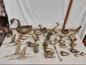 Swans, Ducks, Geese