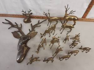 Deer