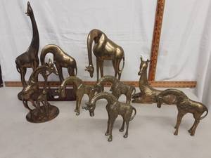 Giraffes