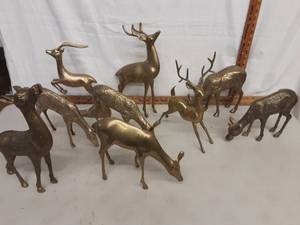 Deer