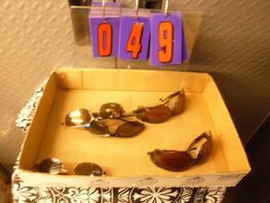 Flat of sunglasses. As shown.