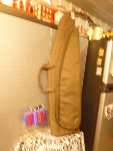 New gun case. As shown.