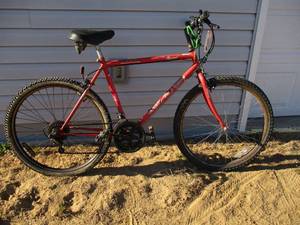 lot 117 image: Rand Trailblazer Bike