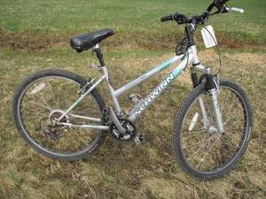 lot 150 image: Schwinn Bike