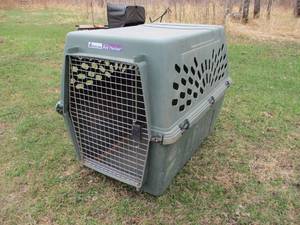 lot 160 image: X Large Dog Kennel