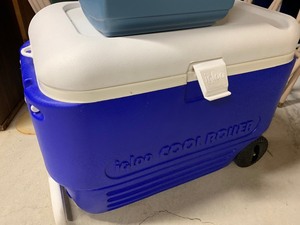 lot 195 image: Two Coolers