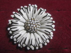 Costume Jewelry