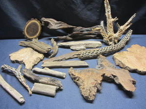 Driftwood, Stems, Slabs