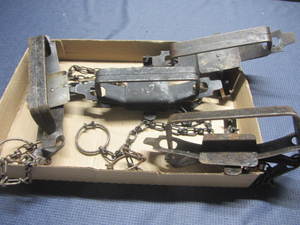 Blake & Lamb Traps