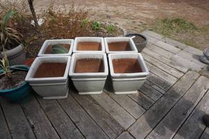 lot 90 image: Lot of Outdoor Floral Plant Pots