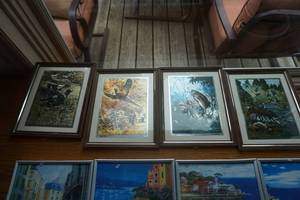 lot 78 image: Set of -  8 Tropical and Wild Life Themed Framed Prints