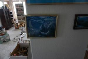 lot 51 image: Set of  - 3 Ocean Manatee Framed PrintsWall Decor