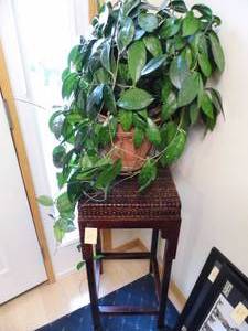 lot 64 image: Plant on Stand