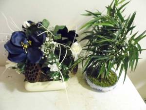 lot 110 image: Fake Plants