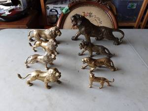 lot 19 image: Jungle Cats
