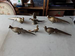 lot 26 image: Pheasants