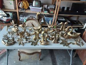 lot 27 image: Ducks, Geese, Swans, More