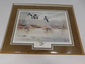 lot 22 image: Soft and Silent Duck Picture by Jerry Raedeke