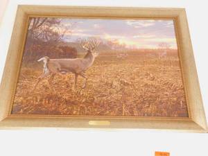 lot 37 image: Into the Light - Whitetail Deer by Scot Storm