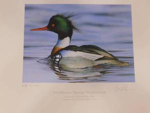 lot 45 image: 2011 MN Migratory Waterfowl Stamp by Kevin Nelson