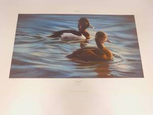 lot 50 image: Ringbills by Karen Latham  2005