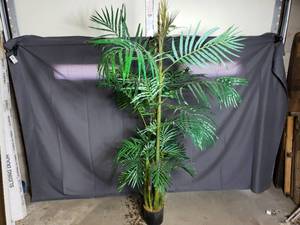 lot 67 image: Fake Palm Tree
