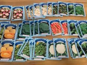 Large Lot of Garden Seeds