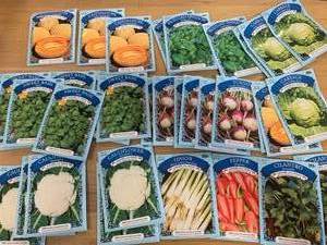 Large Lot of Garden Seeds
