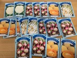 Large Lot of Garden Seeds